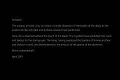 Statement